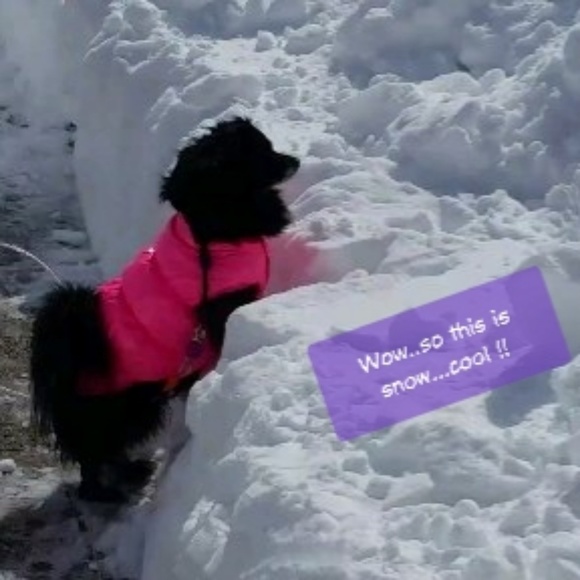 Miss Marley - Picture 6 of 9